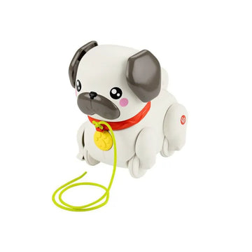 Perro pug pasea conmigo