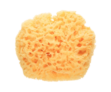 Esponja Natural Saro