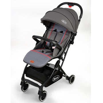 Born - Coche liviano Tares