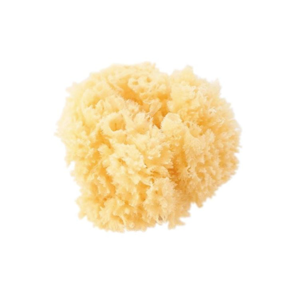 Saro - Esponja Natural