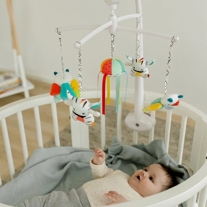Baby Fehn - Música DoBabyDoo