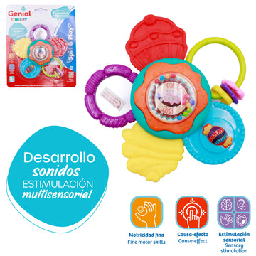 Genial - Girasol sensorial