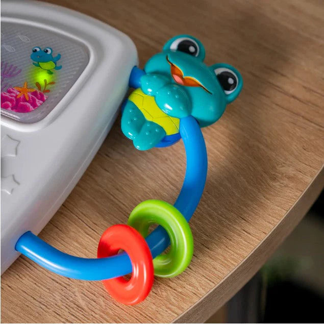 Baby Einstein - Juguete musical
