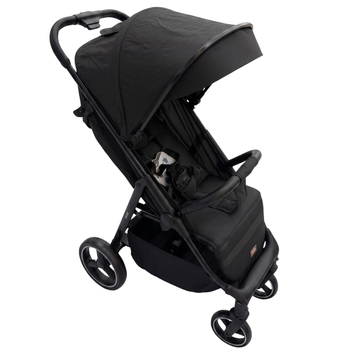 Born - Coche Liviano