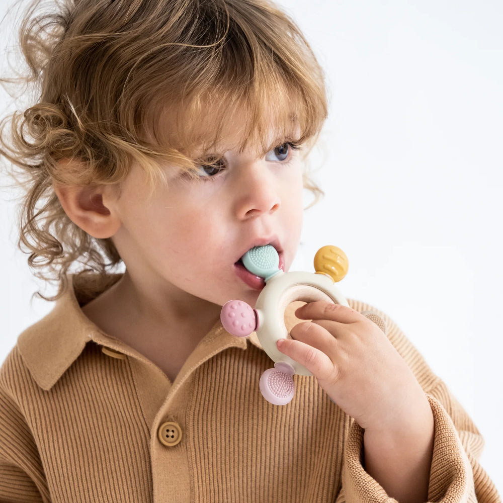 Saro - Mordedor sensorial