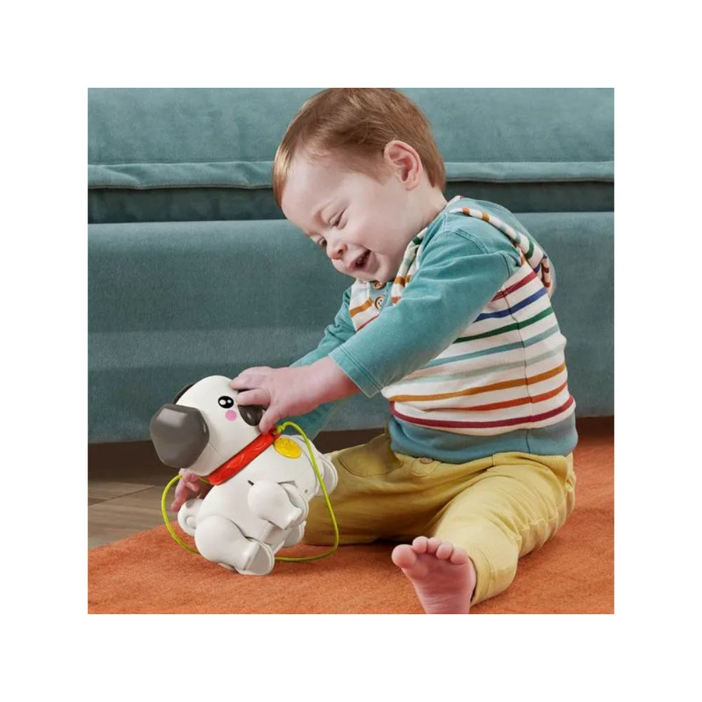 Perro pug pasea conmigo