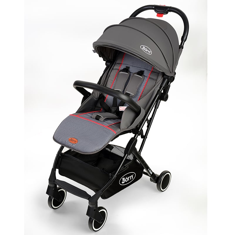 Born - Coche liviano Tares