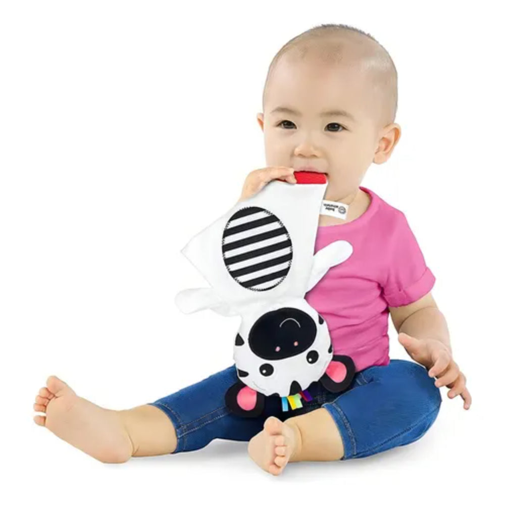 Baby Einstein - Peluche mordedor zebra