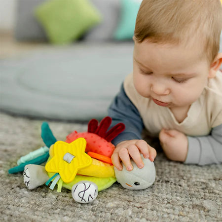Baby Fehn - Tortuga de actividades